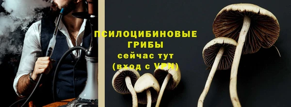 гидропоника Алексеевка