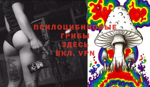 гидропоника Алексеевка
