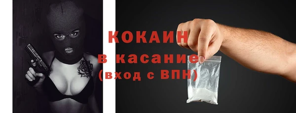 крисы Алексин