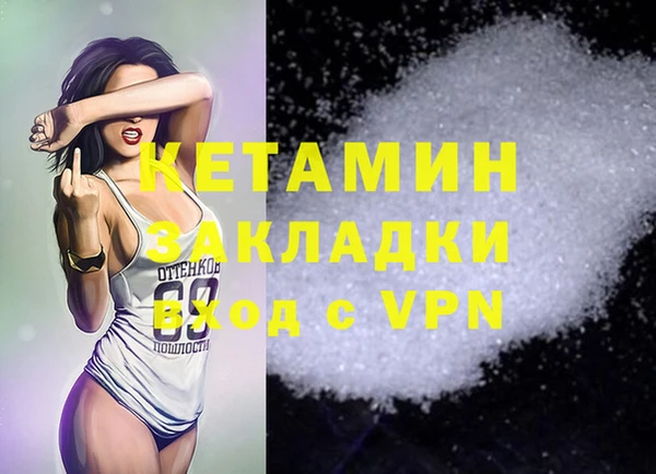крисы Алексин