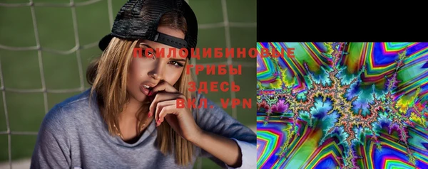 крисы Алексин