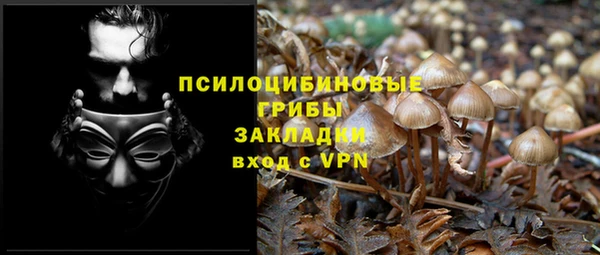 крисы Алексин
